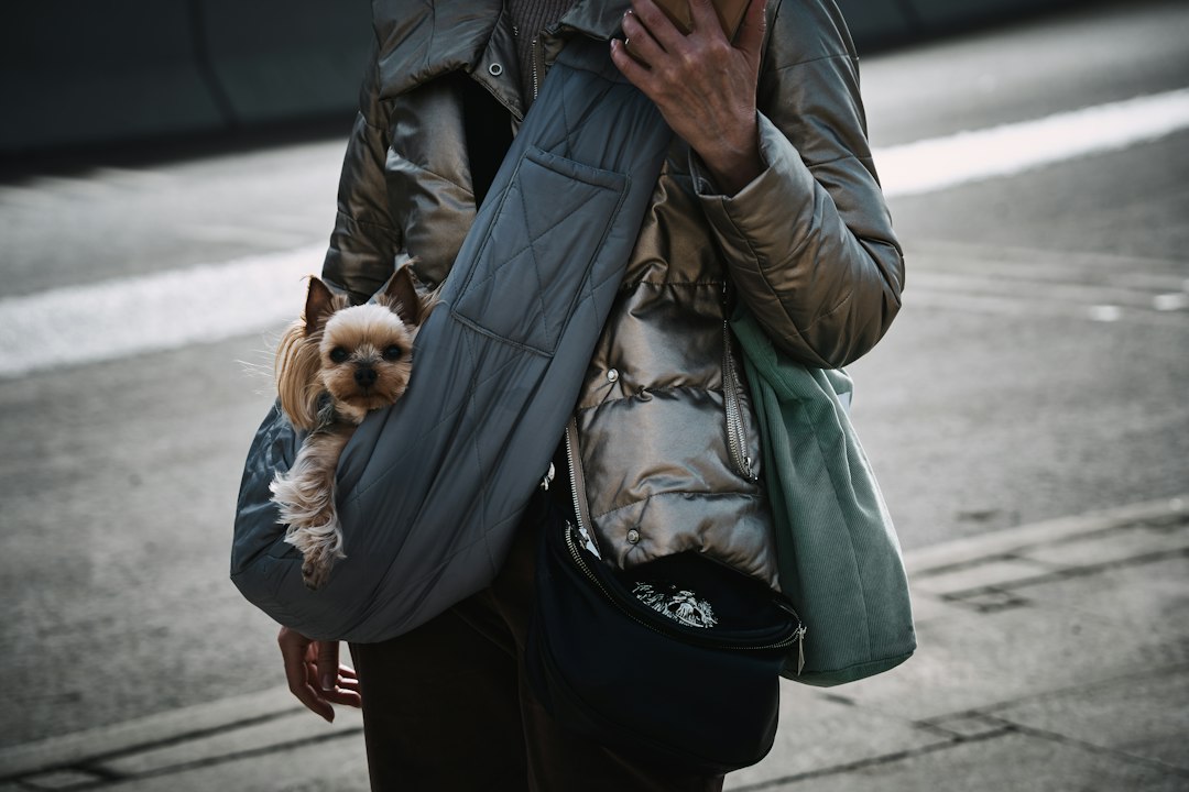 Paseo y transporte