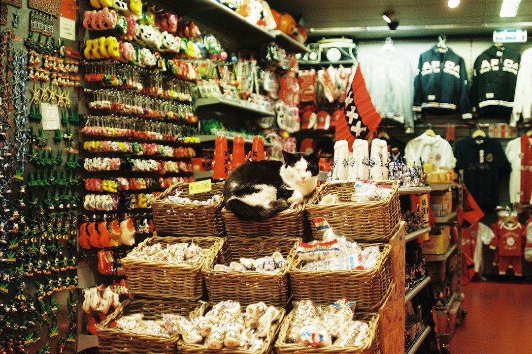 MegaMascotas Shop atención al cliente