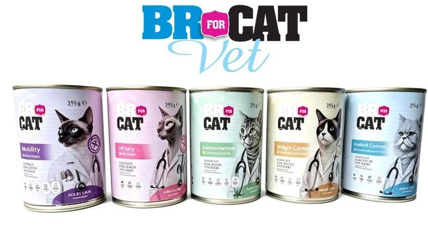 BR FOR CAT