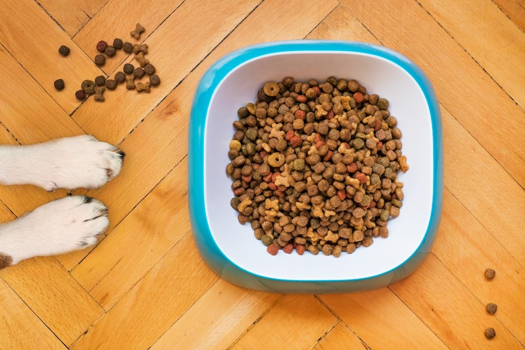 [PERRO-001] Alimento para Perro