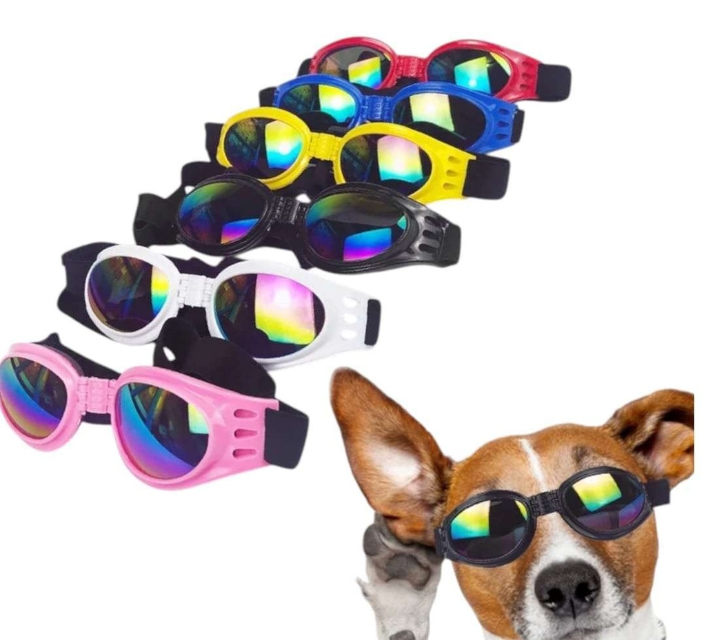 GAFAS PARA MASCOTA
