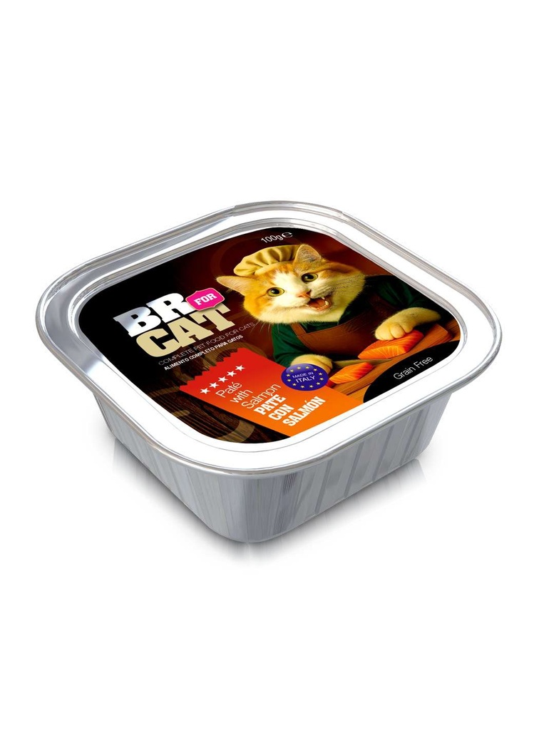 BR FOR CAT PATE CON SALMON