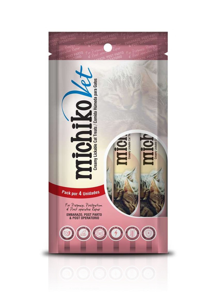 MICHICO  EMBARAZO,POSPARTO,Y POST OPERATORIO