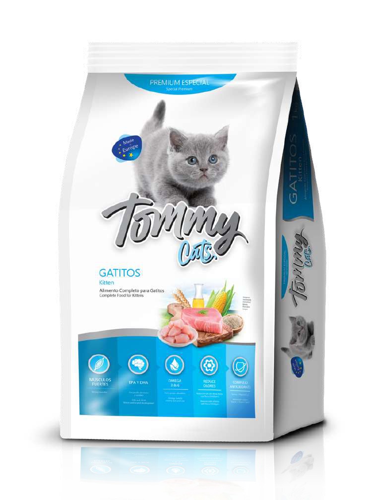 TOMMY CATS GATITOS
