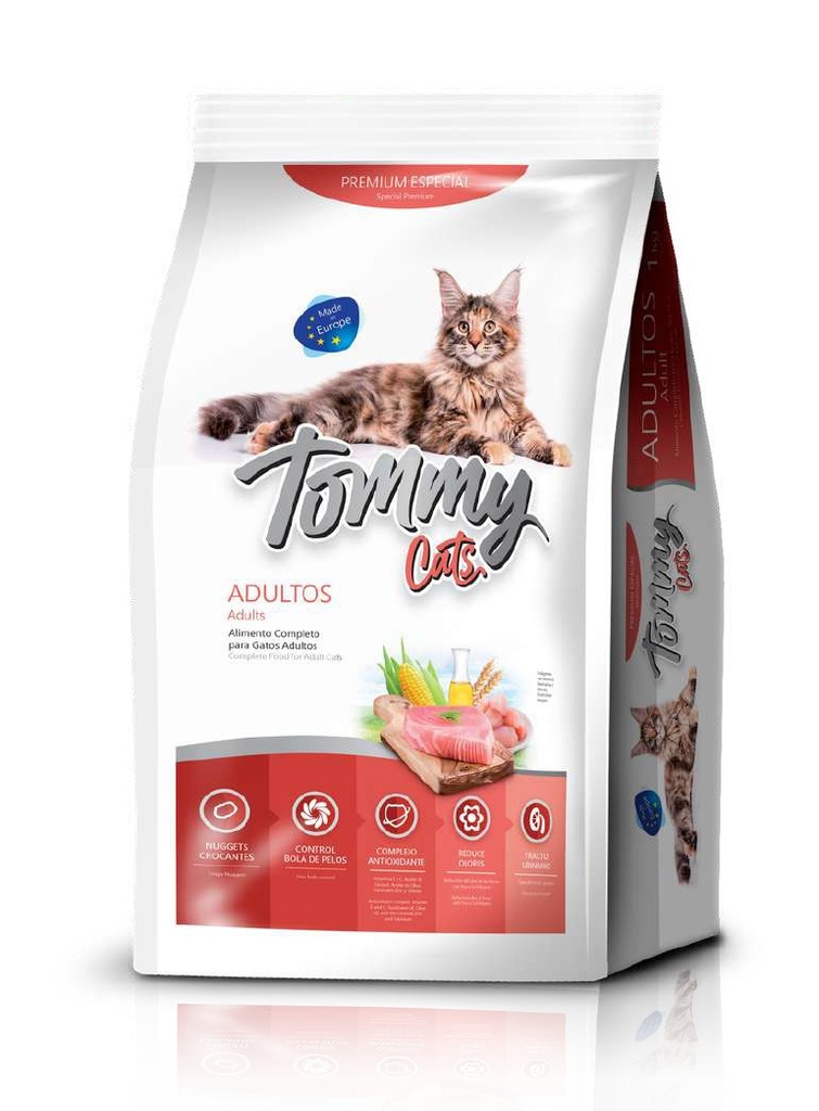 TOMMY CATS ADULTOS