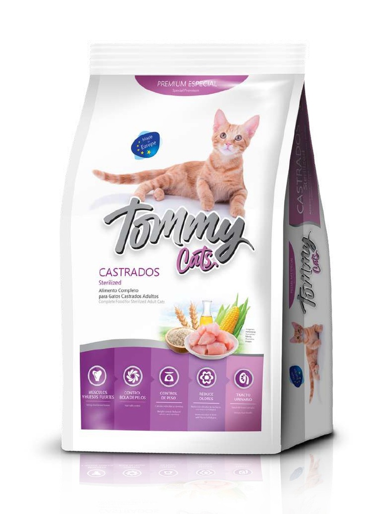 TOMMY CATS CASTRADOS